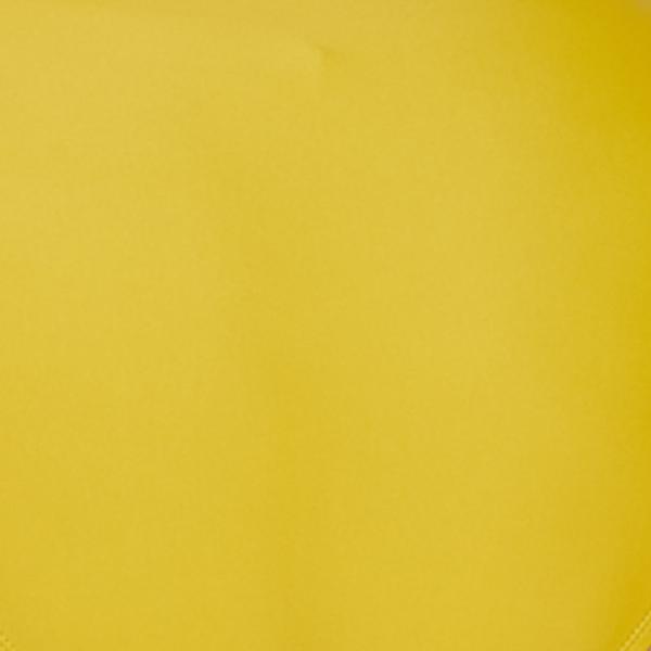 #swatch_MUSTARD YELLOW