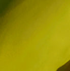 #swatch_GREEN