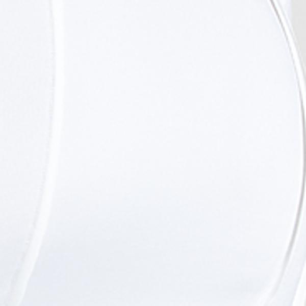 #swatch_IVORY
