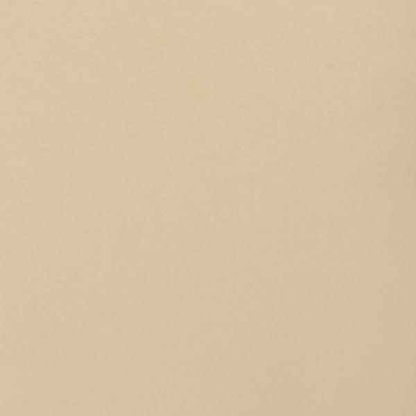 #swatch_TAN