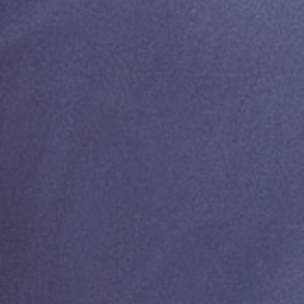 #swatch_NAVY