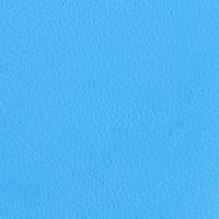 #swatch_BLUE