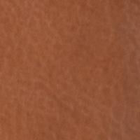 #swatch_COGNAC