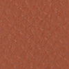 #swatch_COGNAC
