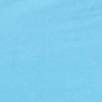 #swatch_BLUE