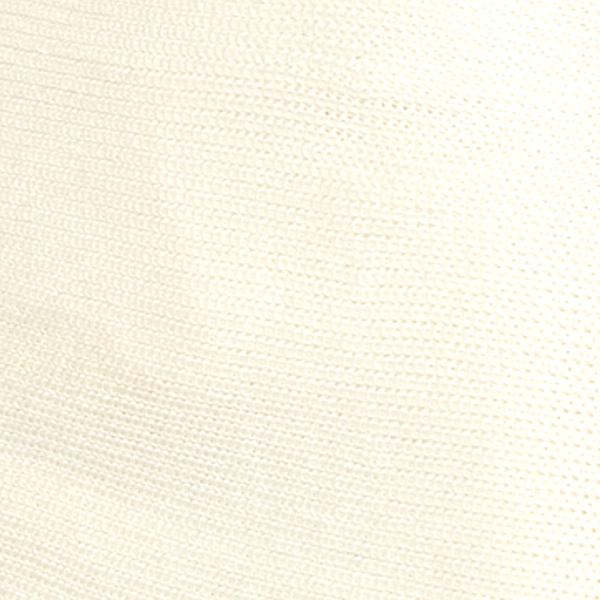 #swatch_WINTER WHITE