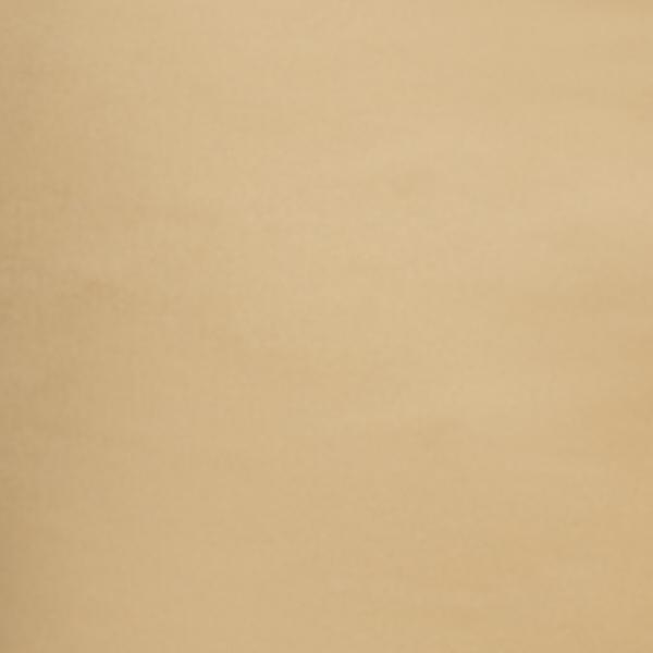 #swatch_TAN