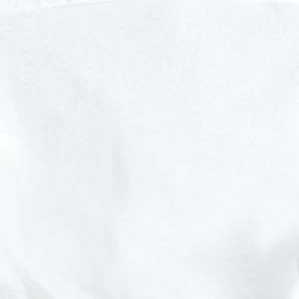 #swatch_WHITE